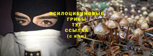 прущие крисы Краснотурьинск