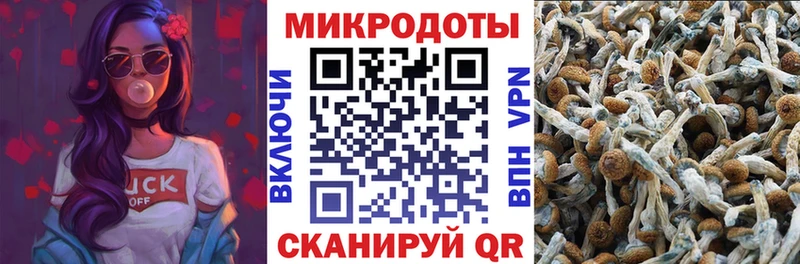 Купить  Павлово  Псилоцибиновые грибы Magic Shrooms 
